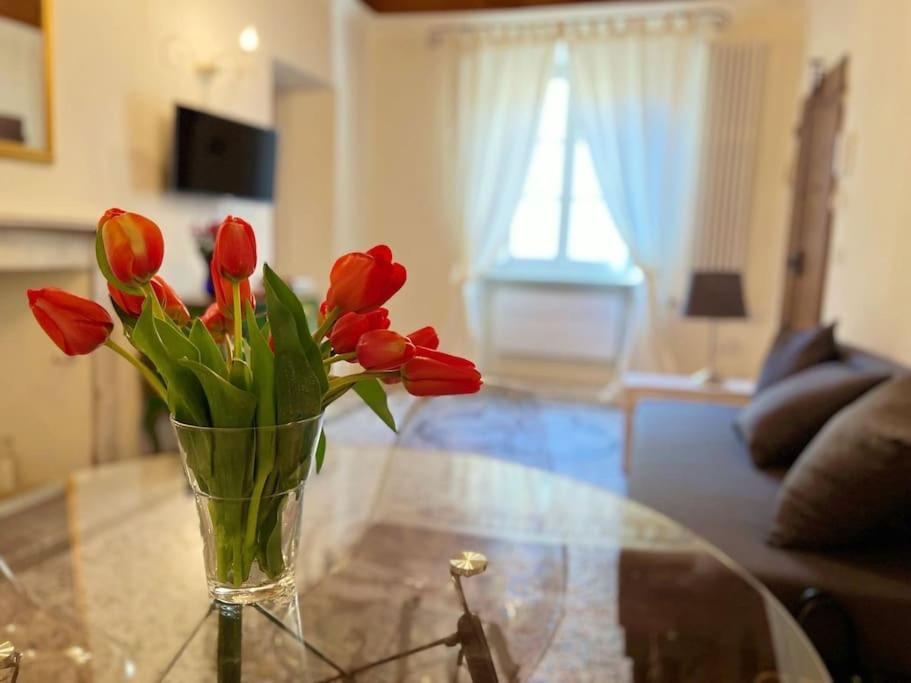 Il Canto De' Cenci Apartment Arezzo Exteriör bild