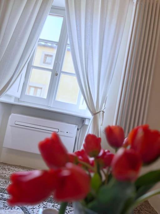 Il Canto De' Cenci Apartment Arezzo Exteriör bild