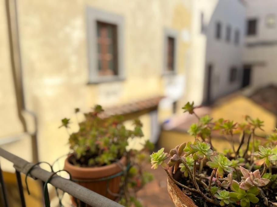 Il Canto De' Cenci Apartment Arezzo Exteriör bild